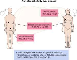 nafld