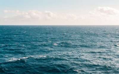 What is World Oceans Day?