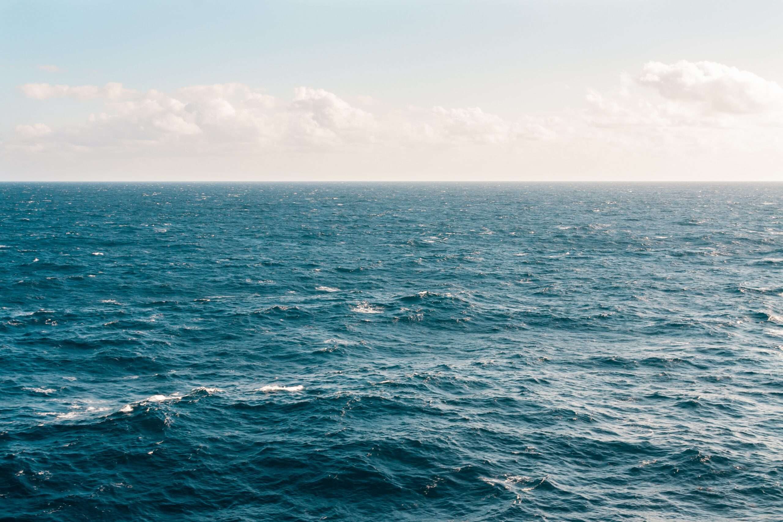 World Oceans Day