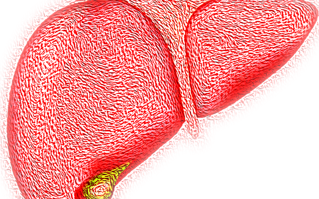 Diagnosi precoce di steatosi epatica