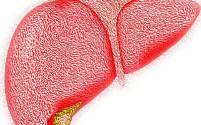 Diagnosi precoce di steatosi epatica