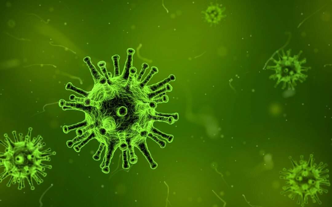 Facciamo il punto sul Coronavirus